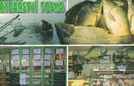 rybářství Topka