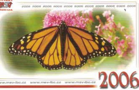 MSV 2006 motýl