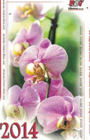 MSV 2014 orchidej