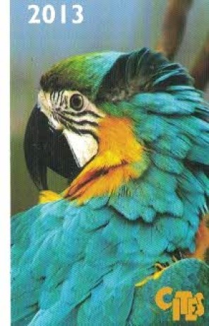 Cites-papoušek
